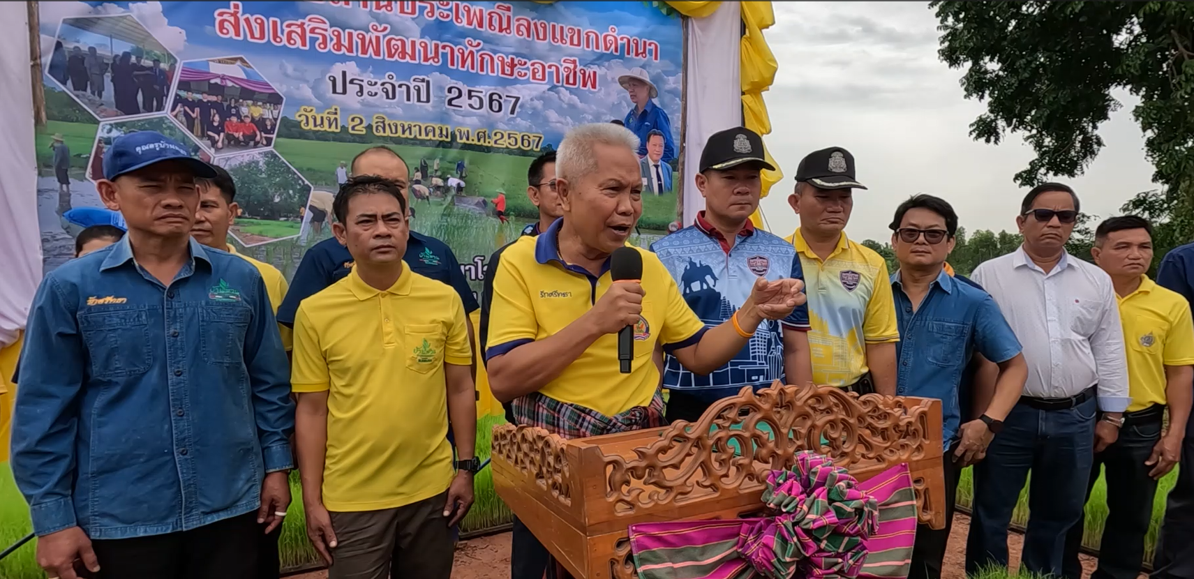 บุรีรัมย์ ครู นักเรียนและชุมชน ร่วมสืบสานฟื้นวิถีลงแขกดำนา