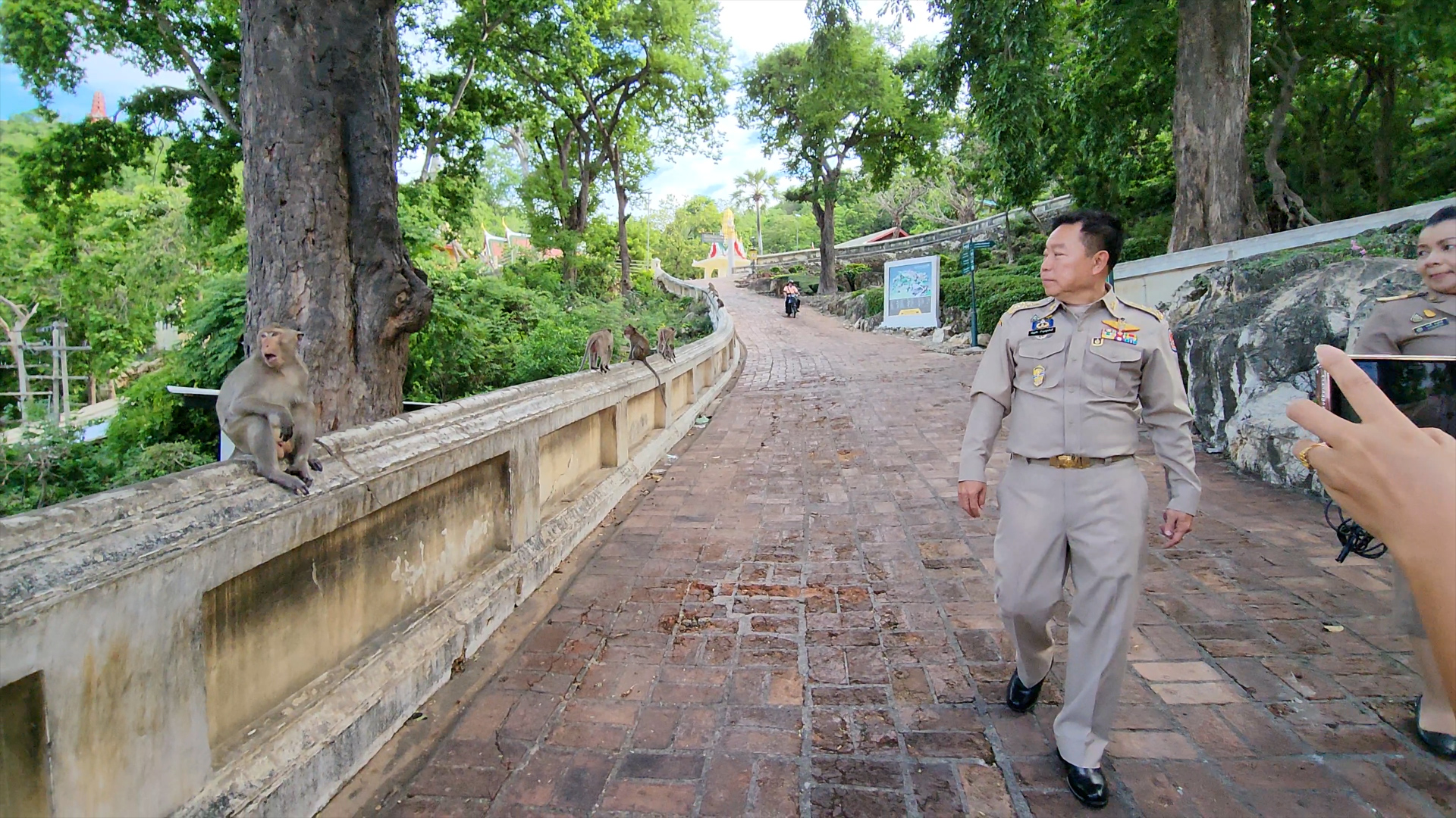 จังหวัดเพชรบุรีไม่ทน เตรียมเสนอปลด ลิงแสม ออกจากสัตว์ป่าคุ้มครอง เพื่อหามาตการแก้ไขเร่งด่วนให้ประชาชน