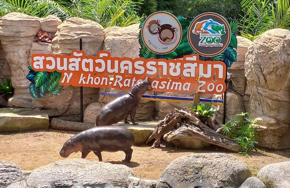 "สวนสัตว์โคราช" เปิดให้เด็กไม่ถึง 12 ปี - สูงอายุ 60 ปี เที่ยวฟรี! 13 ต.ค.นี้