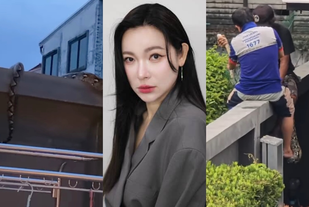 "ดีเจต้นหอม" โพสต์คลิปเจองูใหญ่พร้อมบอกบ้านเลขที่ไม่กั๊ก