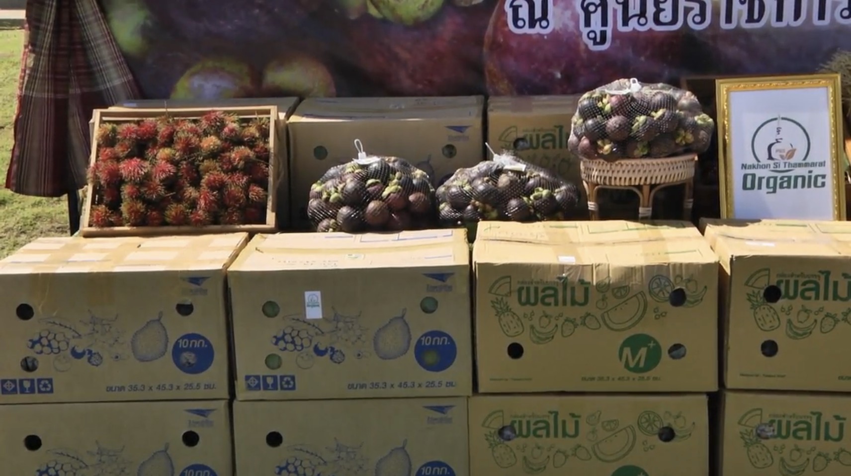 สุรินทร์ จัดโครงการเชื่อมโยง แลกเปลี่ยนข้าวหอมมะลิอินทรีย์กับผลไม้อินทรีย์ของจังหวัดนครศรีธรรมราชภายใต้ชื่อ “ ผลไม่อินทรีย์แลกข้าวอินทรีย์”