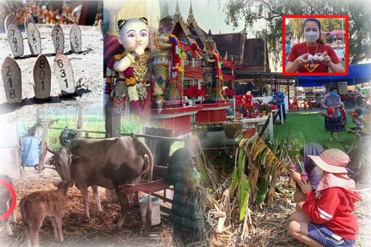 มัดรวมเลขเด็ด โค้งสุดท้าย งวดวันที่ 17 ม.ค.65