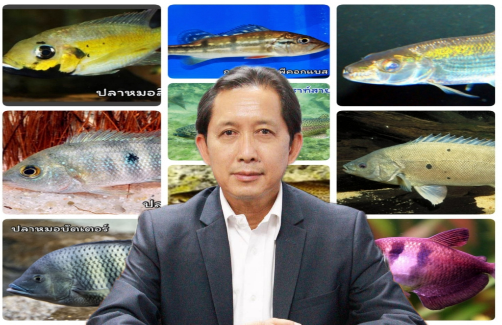 ออกประกาศ!! ห้ามเพาะเลี้ยงสัตว์น้ำต่างถิ่น 13 ชนิด คุมแพร่พันธุ์ทำลายระบบนิเวศแหล่งน้ำ