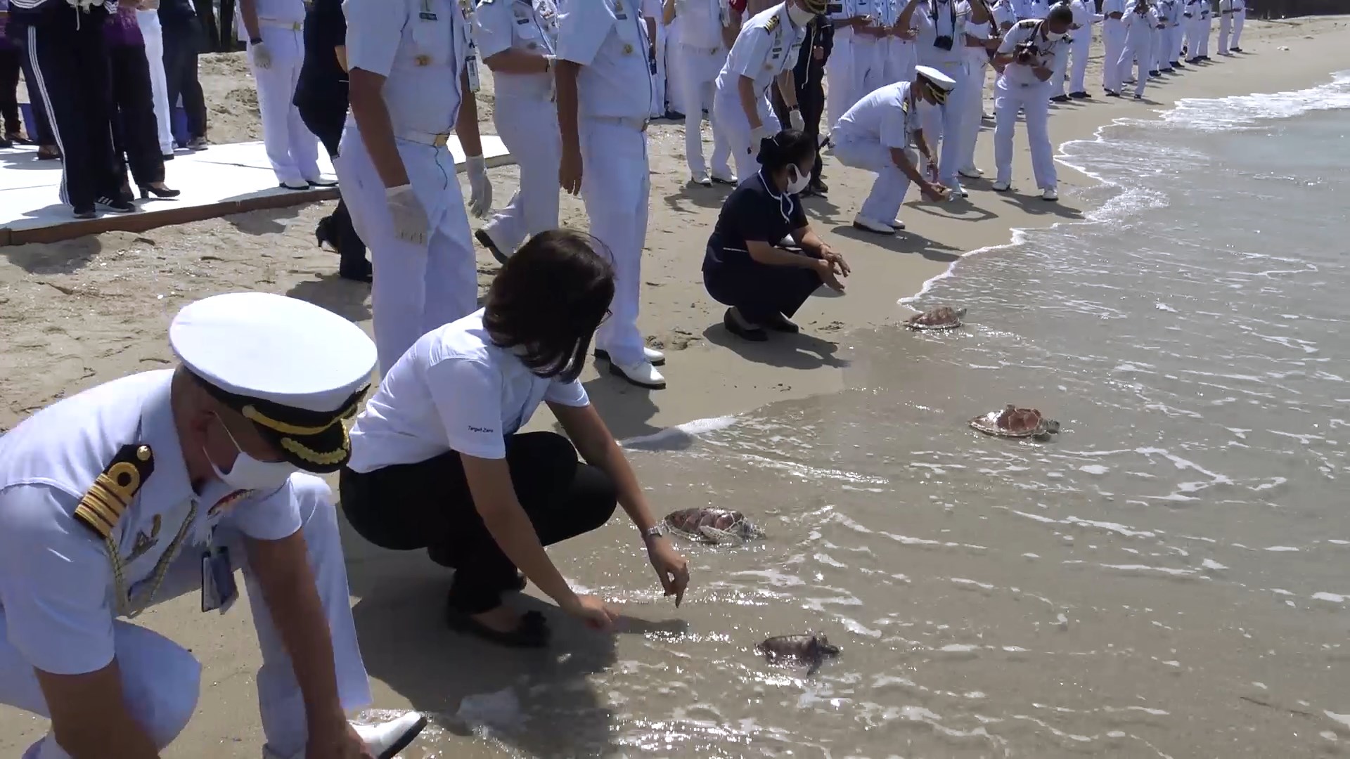 ทัพเรือภาคที่ 2 ปล่อยเต่าทะเล 200 ตัวคืนสู่ธรรมชาติ