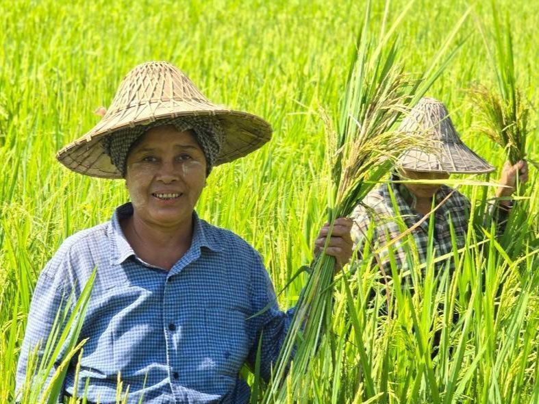 CPP Myanmar ขับเคลื่อนการพัฒนาแหล่งน้ำช่วยเหลือเกษตรกร สู่การมีรายได้ 365 วัน 