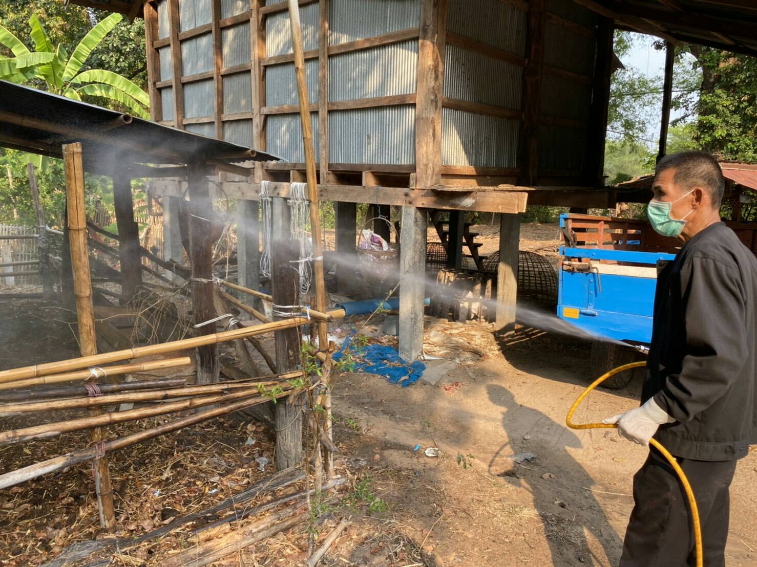 ปศุสัตว์ยโสธร ร่วมกับ ด่านกักกันสัตว์พ่นยาฆ่าเชื้อโรค และเฝ้าระวังสัตว์เลี้ยงในพื้นที่เสี่ยงต่อโรคติดเชื้อไวรัสโควิด-19