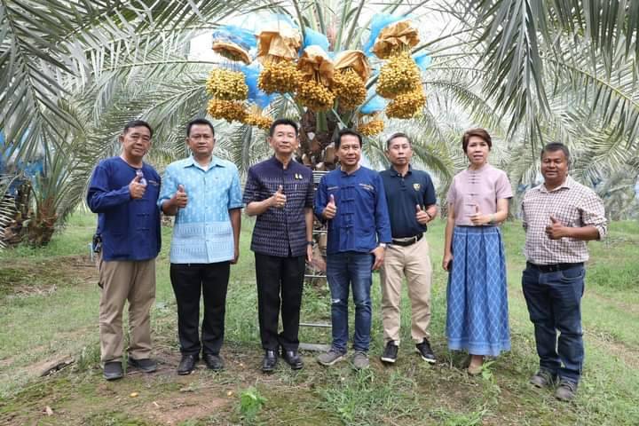 อบจ.เพชรบูรณ์เตรียมจัดกิจกรรมอินทผลัม แอนด์ บอลลูนเฟสติวัล 