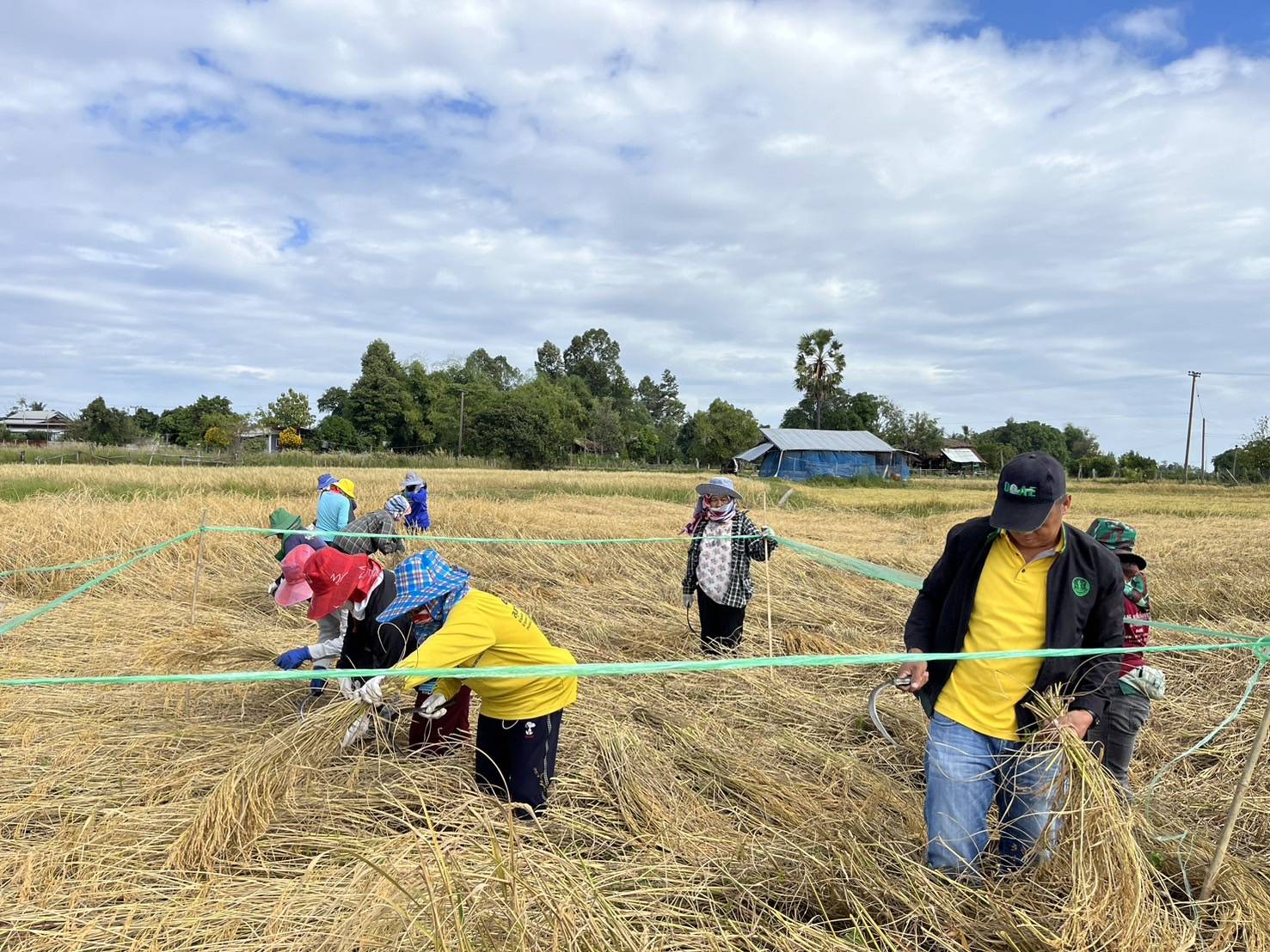 เกษตรอำเภอป่าติ้วลงพื้นที่ติดตามเกษตรทฤษฎีใหม่1 ไร่พอเพียงพร้อมพัฒนาเป็นศูนย์เรียนรู้ 