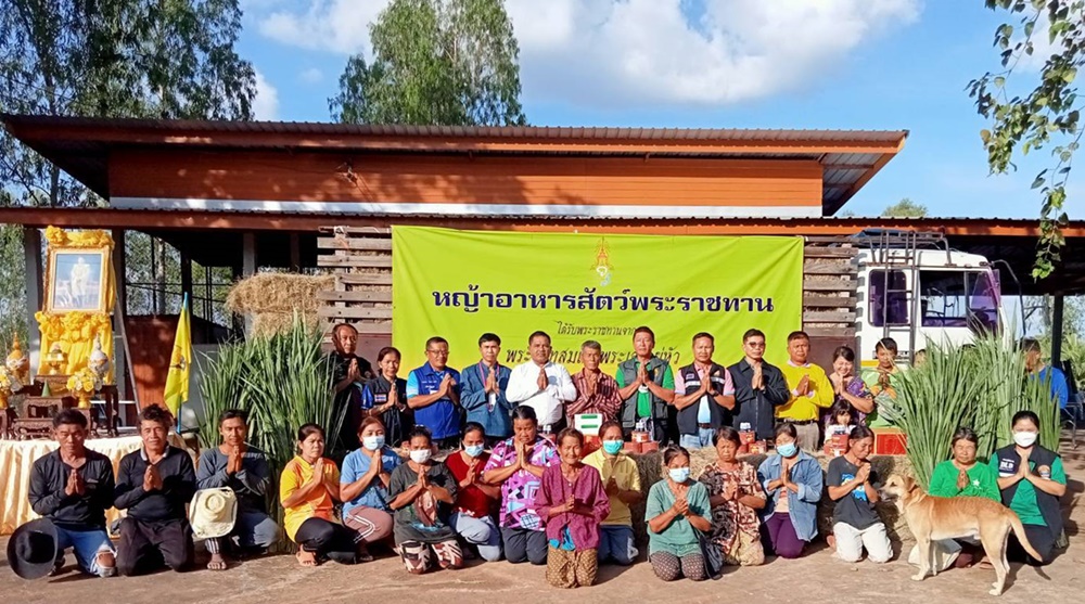 ปศุสัตว์ร้อยเอ็ด มอบหญ้าอาหารสัตว์พระราชทาน 2 ตัน แร่ธาตุชนิดก้อนให้กับเกษตรกร ประสบอุทกภัยอ.ทุ่งเขาหลวง