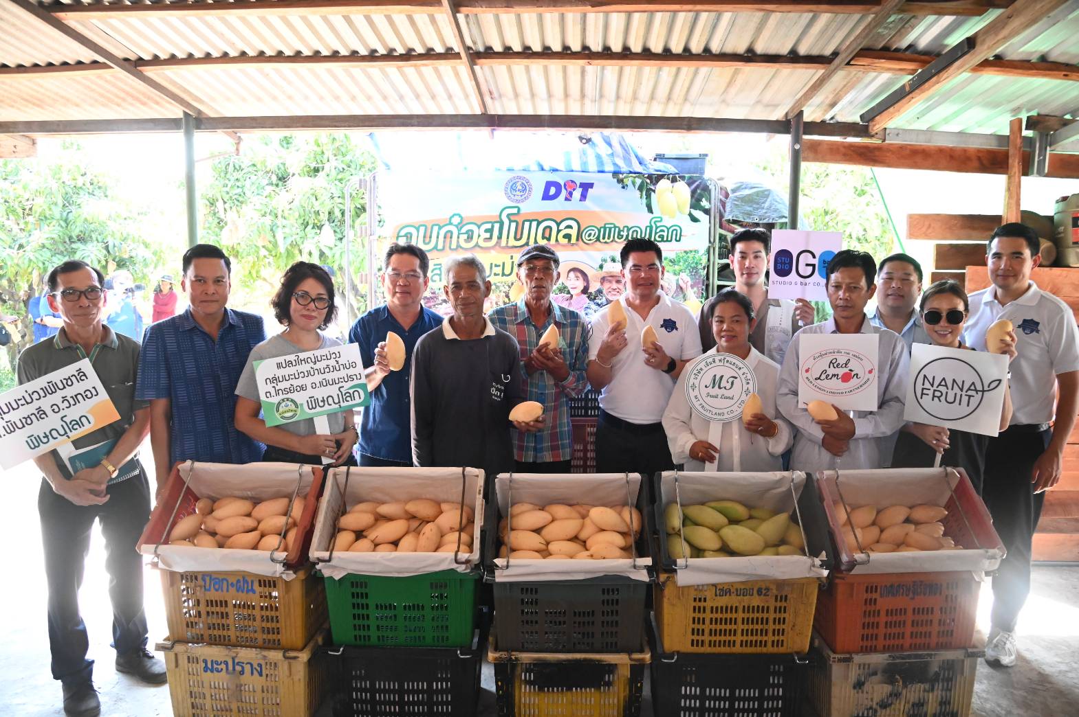 กรมการค้าภายในลงพื้นที่พิษณุโลก นำผู้ประกอบการเข้ารับซื้อมะม่วงกว่า 16,000 ตัน ภายใต้อมก๋อยโมเดล