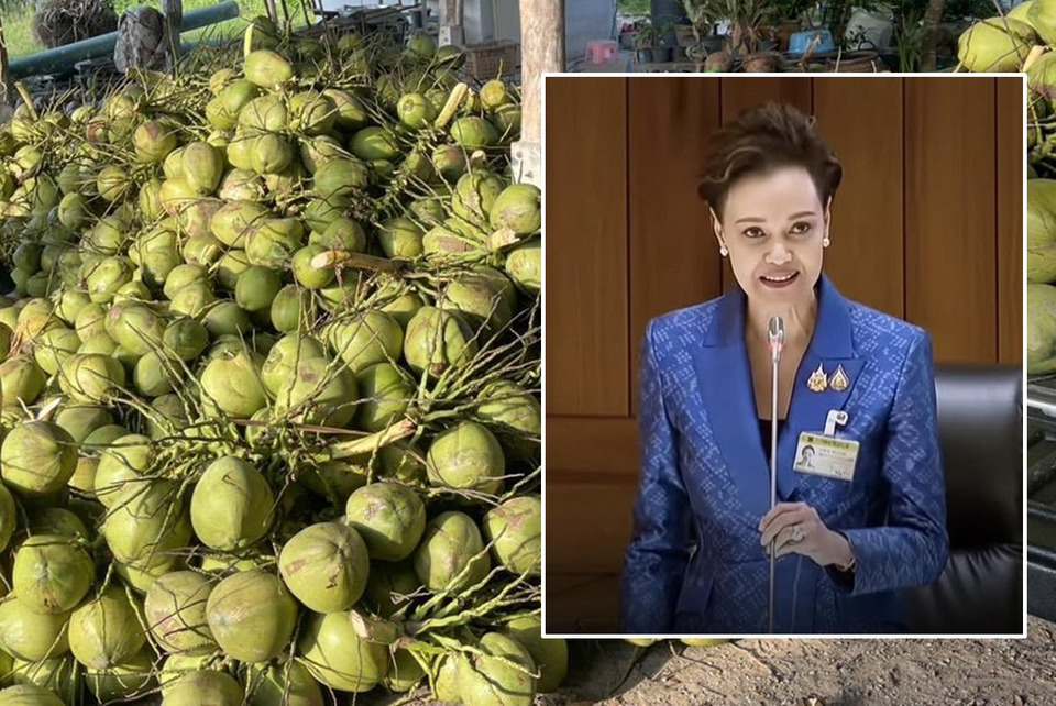 ล้งมะพร้าวสะเทือน! "เอ็ดดี้" หนุน “ศุภจี” เดินหน้าทุบทุนผูกขาด แฉล้งฮั้วกดราคาชาวสวน เหลือลูกละ 3 บาท