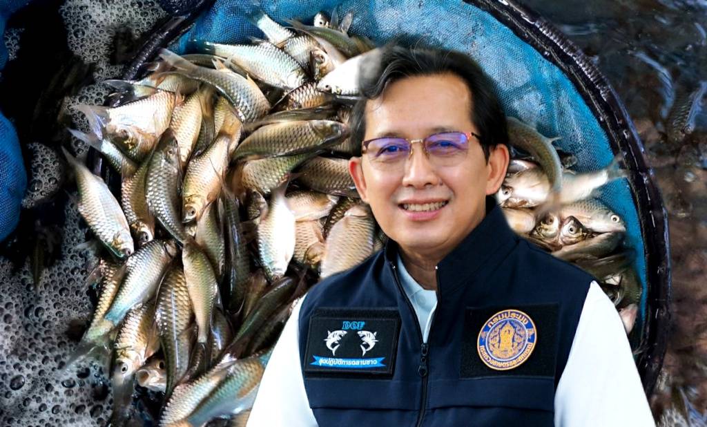 เพาะพันธุ์ “ปลาตะเพียนขาวนีโอเมล” สำเร็จ! เลี้ยงง่าย โตไว น้ำหนักดี ตอบโจทย์เกษตรกร สนองความต้องการของตลาด
