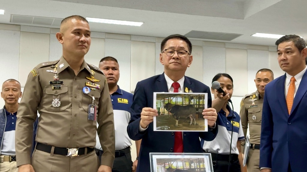บุกค้น 31 จุดทั่วประเทศ จับผู้ต้องหา 44 ราย เครือข่ายเว็บพนัน ยึดฟาร์มกระบือดีกรีแชมป์ 