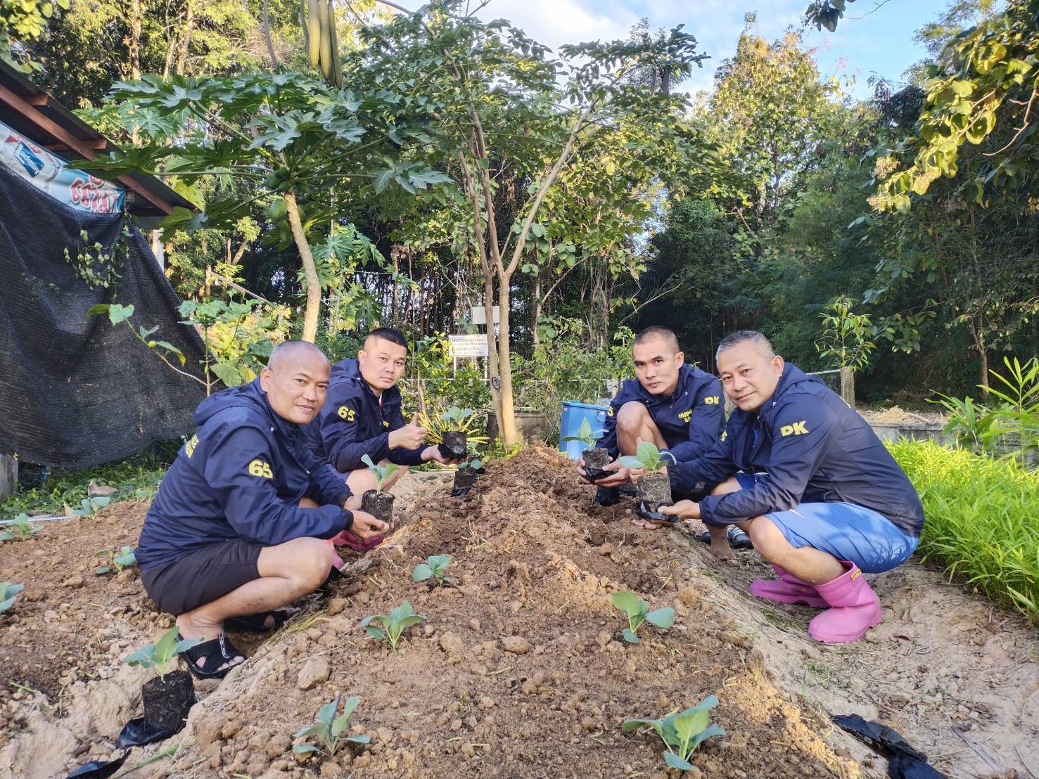 ตำรวจทางหลวงอำนาจเจริญยุคใหม่ปลูกกะหล่ำปี ทำน้ำหมักจุลินทรีย์สังเคราะห์แสง