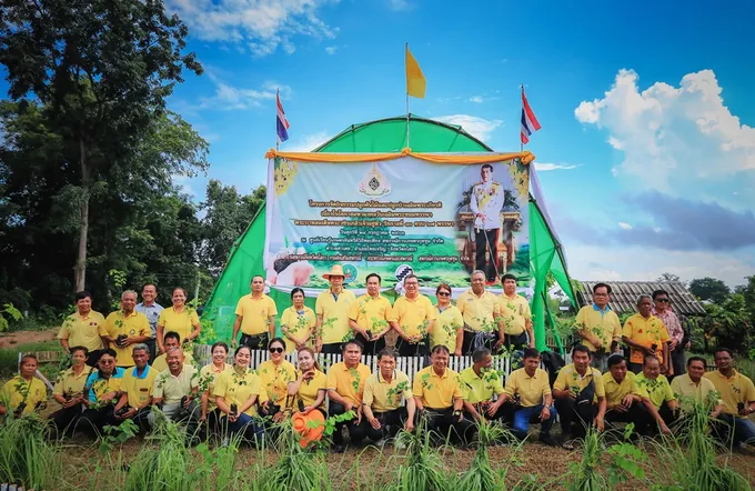 ผู้ตรวจฯ กสส. นำขบวนการสหกรณ์ยโสธร เปิดโครงการปลูกป่าเฉลิมพระเกียรติ ร.10 จำนวน 1,999 ต้น