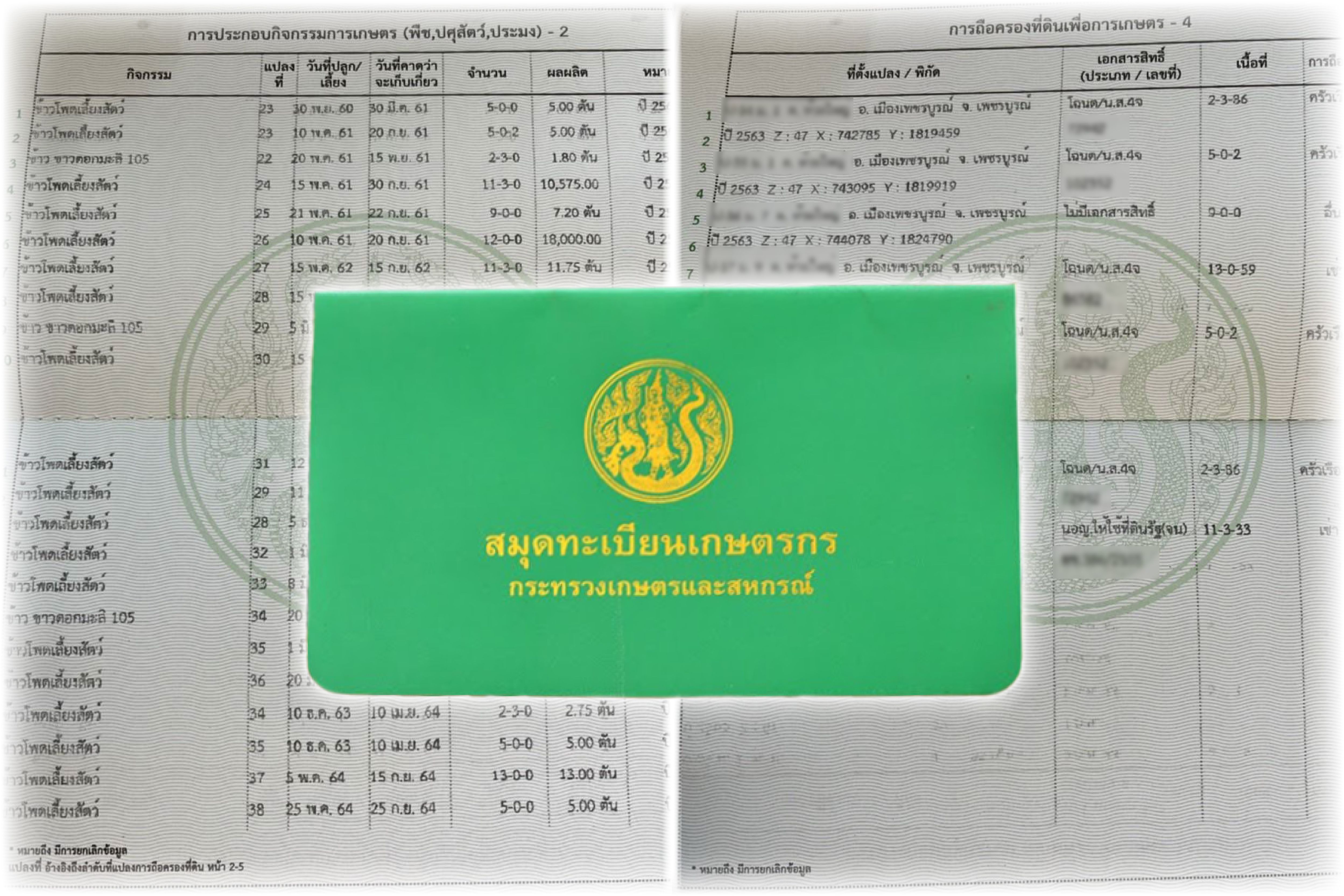 ทางออกลดหมอกควันภาคเหนือ เอกชนทุกรายควรมีระบบตรวจสอบย้อนกลับ เกษตรกรชี้ซีพีเป็นรายเดียวเข้มนโยบายตรวจสอบย้อนกลับ 