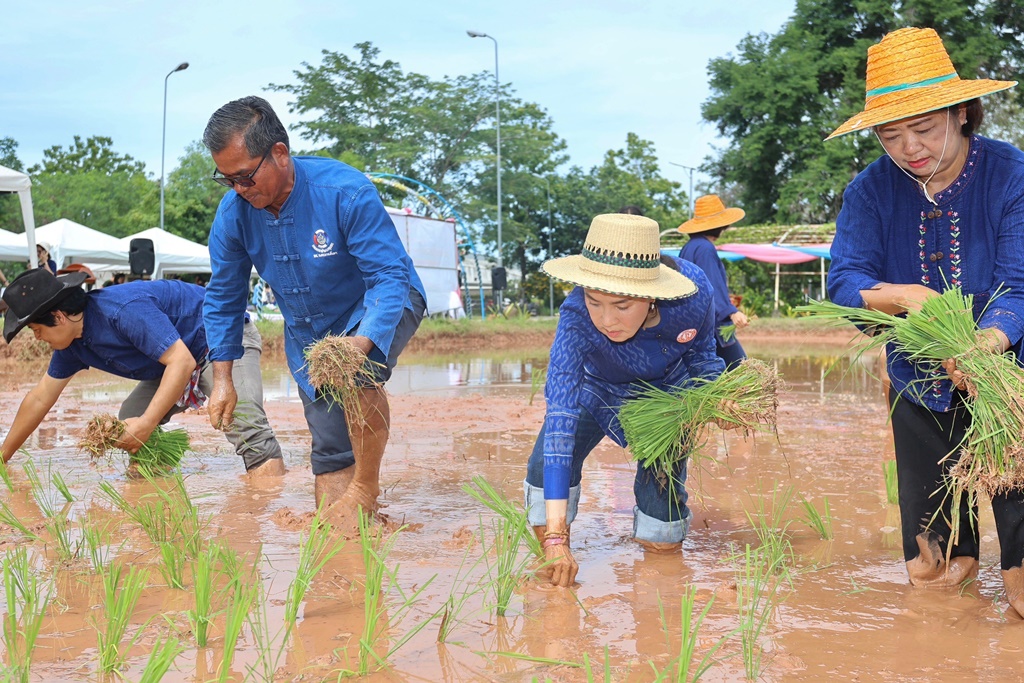 อบจ.โคราช สอนวิถีชีวิตชาวนา ปรัชญาพอเพียงชวนนักเรียนเตรียมอุดมเกี่ยวข้าววันแม่