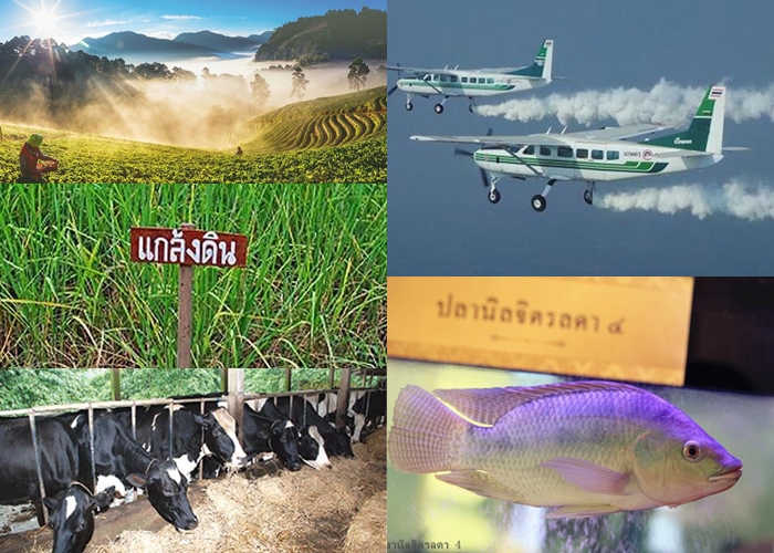“เทิดทูนเหนือเกล้า กษัตริย์เจ้าเกษตรการ” จากบทพระราชนิพนธ์กรมสมเด็จพระเทพฯ สู่มิติรสเพลงไทย “มรภ.สงขลา” บอกเล่าโครงการหลวง