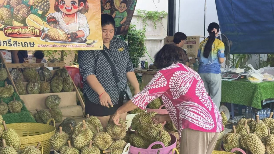 ชาวศรีสะเกษปลื้ม “ไทยช่วยไทย พลัส 60/40” กระตุ้นเศรษฐกิจจริง ยอดขายทุเรียนพุ่ง 