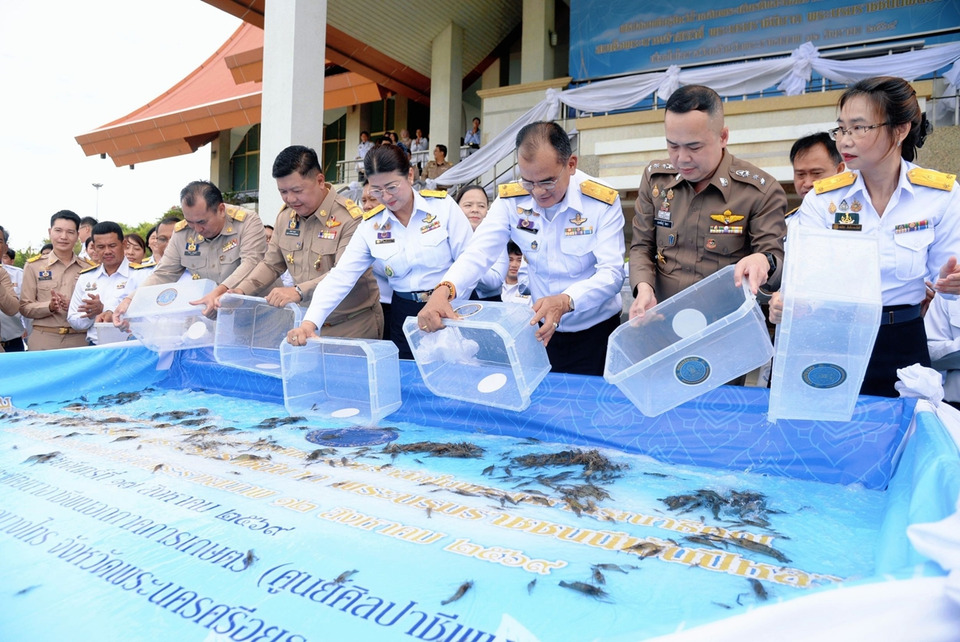 กรมประมงปล่อยสัตว์น้ำ 2.33 ล้านตัว เฉลิมพระเกียรติพระพันปีหลวง ฟื้นฟูแม่น้ำเจ้าพระยา