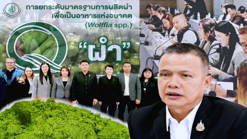 มกอช. ดัน “ผำ” สู่ Future Food รุกจัดทำมาตรฐาน ยกระดับอาหารไทยสู่ตลาดโลก
