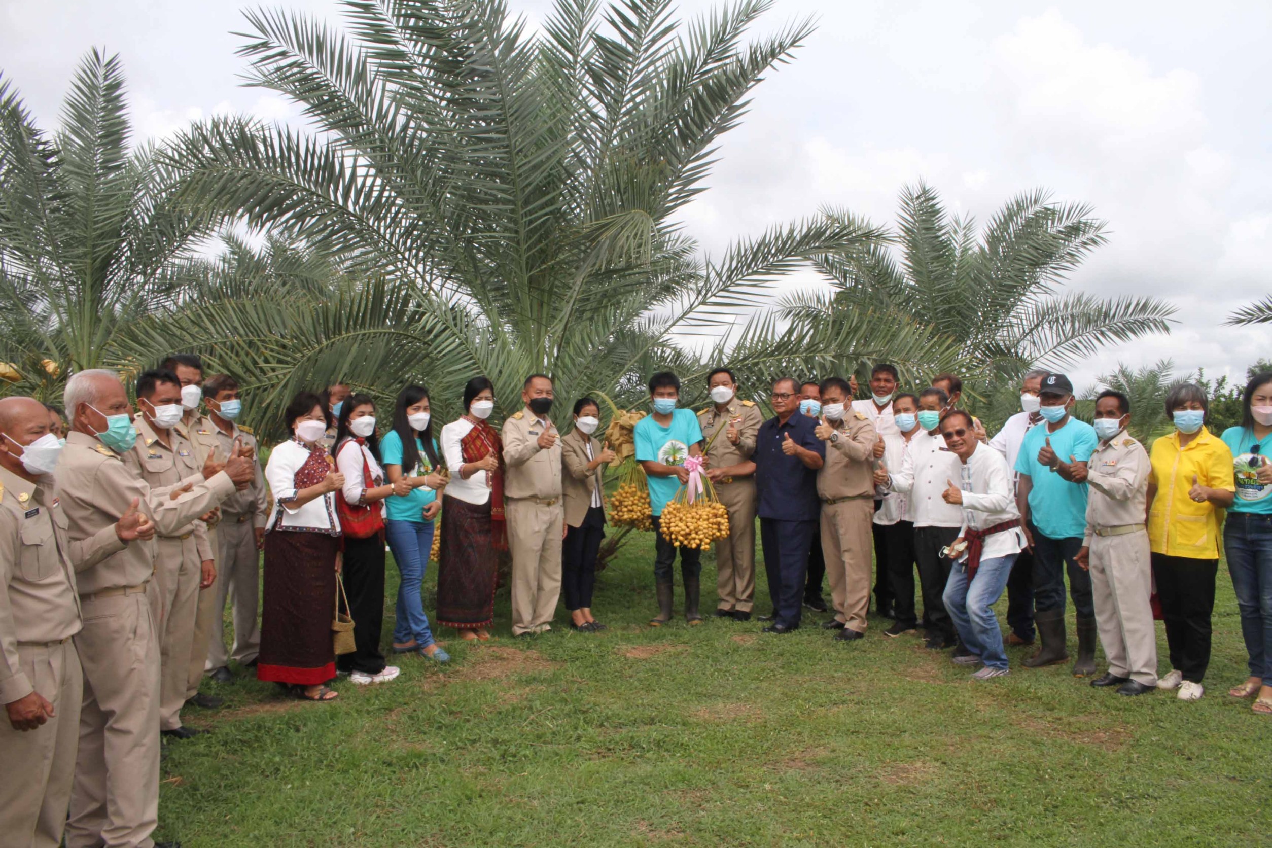 กาฬสินธุ์เปิดเทศกาลอินทผลัมดนตรีในสวนเมืองไดโนเสาร์