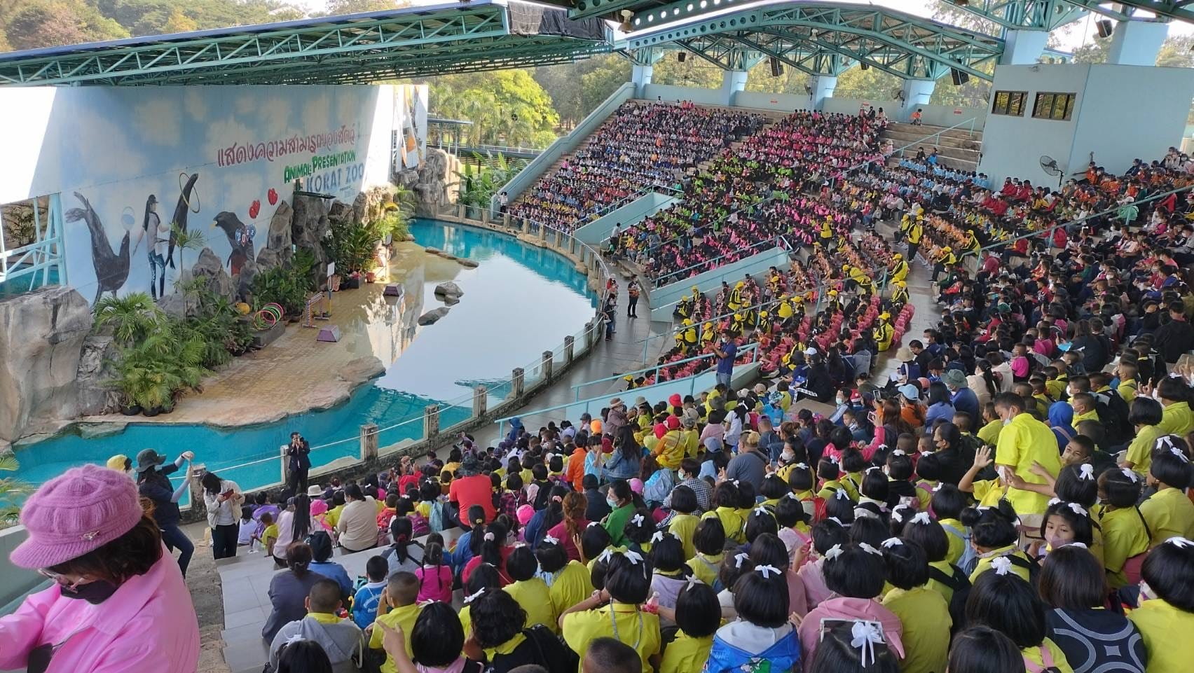 สวนสัตว์โคราชฉลองครบรอบก่อตั้ง 36 ปีเปิดชมโชว์ความสามารถแมวน้ำฟรี 3 วัน