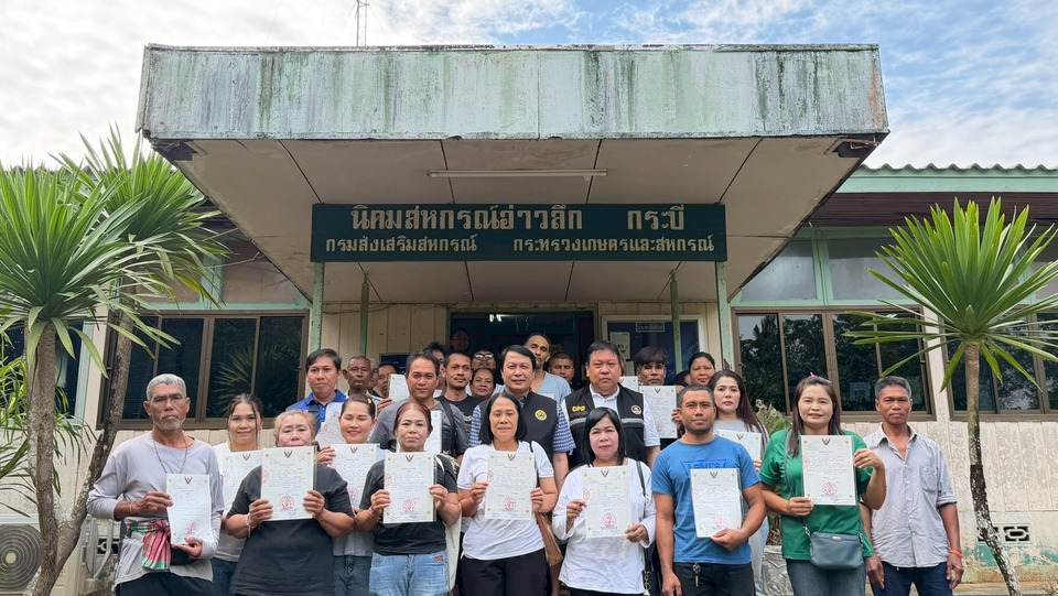 สหกรณ์กระบี่ เปิดโครงการ “ส่งความสุขปีใหม่” มอบสิทธิที่ดิน–ดันสินค้าเกษตร ยกระดับชีวิตเกษตรกรอ่าวลึก