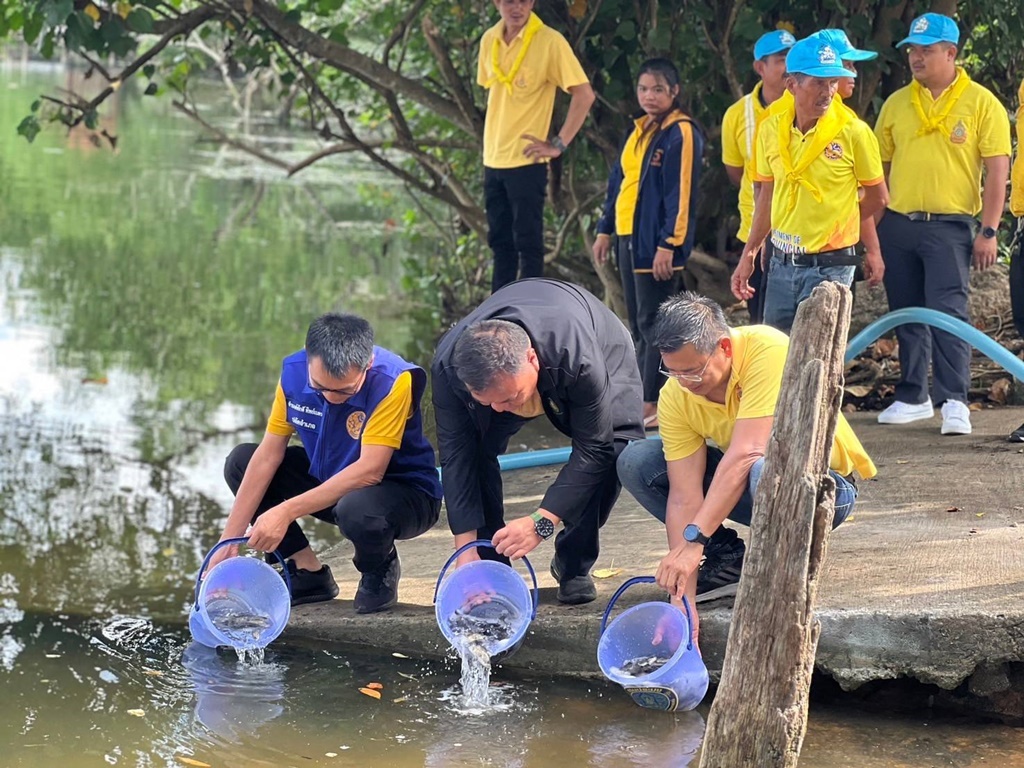 ประมงตราดปล่อยปลานักล่า ตั้งด่านสกัด "ปลาหมอคางดำ" รุกพื้นที่ ยันตราดไม่พบการระบาด