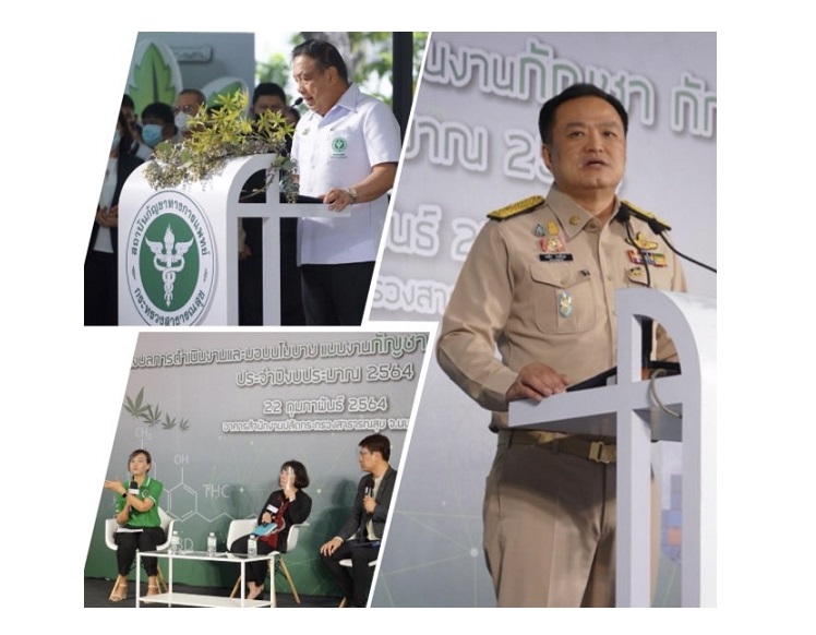 สธ.หนุนประชุมวิชาการกัญชาทางการแพทย์ครั้งที่ 1  ครอบคลุม 12 เขตสุขภาพดีเดย์ 4 มี.ค.65