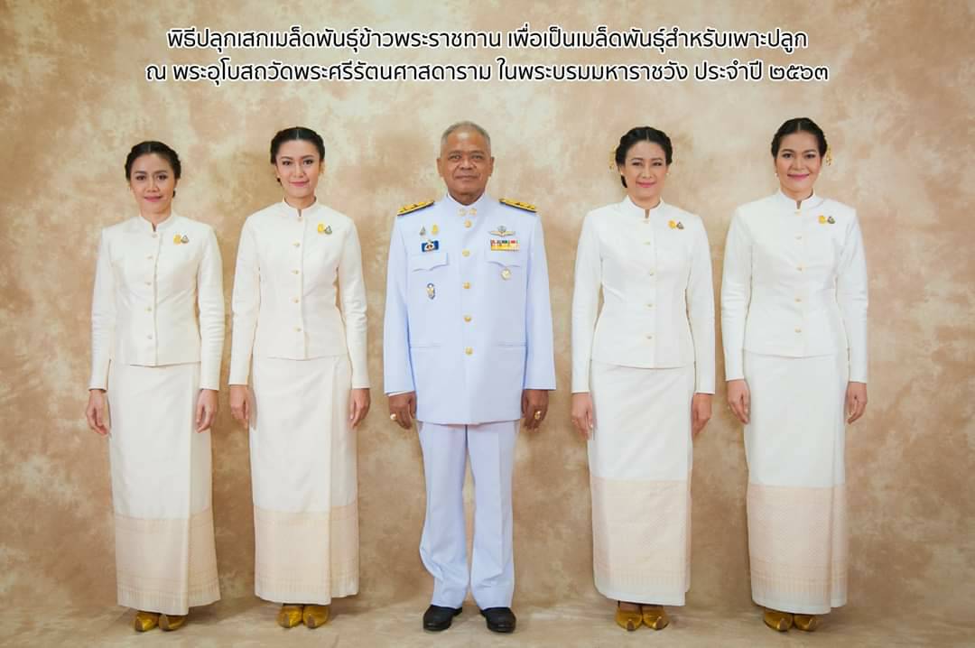"ก.เกษตรฯ"ร่วมพิธีปลุกเสกเมล็ดพันธุ์ข้าวพระราชทาน-เปิดตัว"คู่หาบเงิน-หาบทอง"