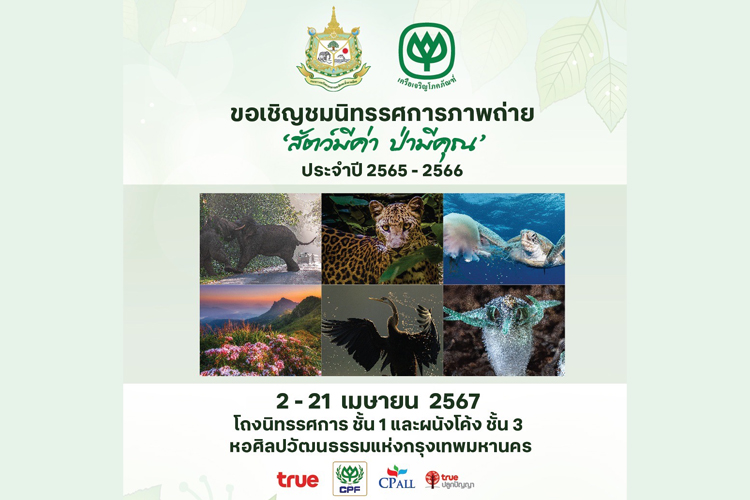 กระทรวงทรัพยากรธรรมชาติและสิ่งแวดล้อม และเครือเจริญโภคภัณฑ์ เชิญชมนิทรรศการภาพถ่าย ‘สัตว์มีค่า ป่ามีคุณ’ ประจำปี 2565-2566 