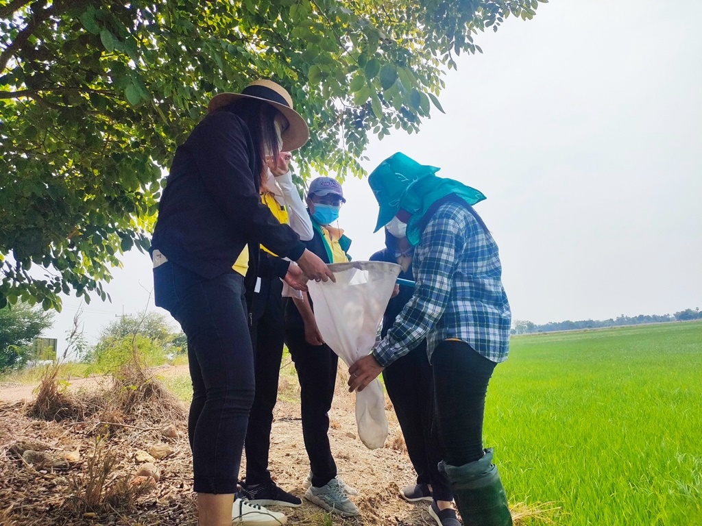 แปลงใหญ่ข้าวตำบลเดิมบาง ทำเกษตรสมัยใหม่ ใส่ใจสิ่งแวดล้อม สู่ศูนย์ฯลดโลกร้อนแห่งแรกและแห่งเดียวในไทย
