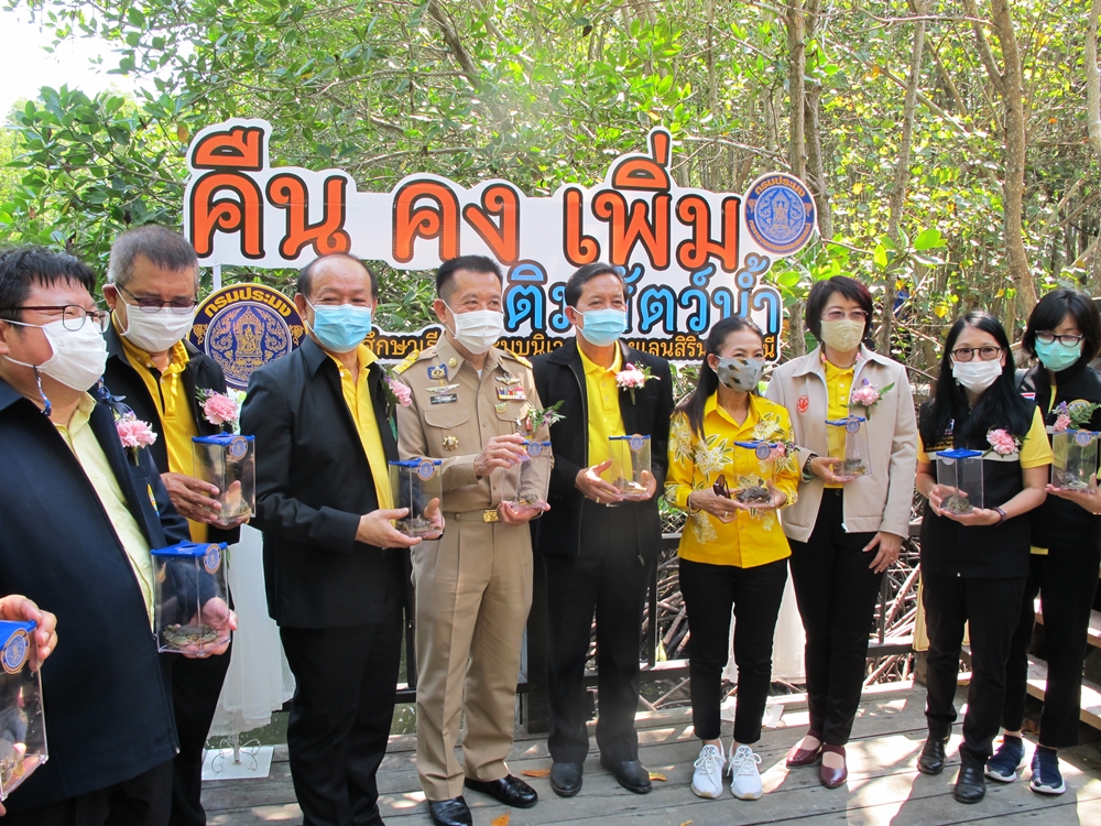 เปิดโครงการ “คืน คง เพิ่ม เติมสัตว์น้ำบริเวณแหล่งก่อเกิดทรัพยากรประมง” ปล่อยพันธุ์ปูทะเลกว่า 3 แสนตัว กลับสู่ธรรมชาติ