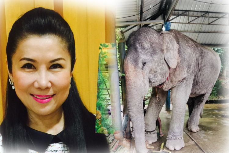 “หนูนา” เปิดใจผ่านเฟซบุ๊ก ปมถูกโยงแจ้งตรวจช้างหลายเคส ยันพูดตรงไปตรงมา ไม่เคยใส่ร้ายใคร