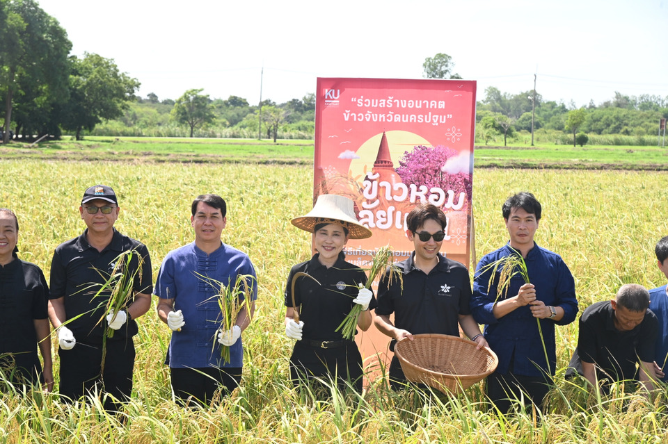 ม.เกษตรศาสตร์ กำแพงแสน เปิดตัว “ข้าวหอมมาลัยแมน” ผลงานวิจัย 16 ปี ส่งต่อเมล็ดพันธุ์อนาคตสู่เกษตรกรไทย