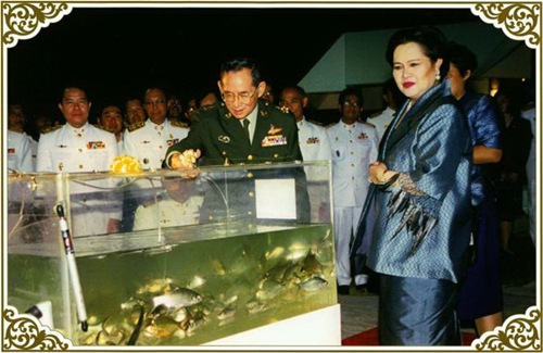 รายงาน/องคมนตรี ติดตามโครงการเขื่อนป่าสักชลสิทธิ์ฯ เตรียมความพร้อมรองรับสถานการณ์น้ำ