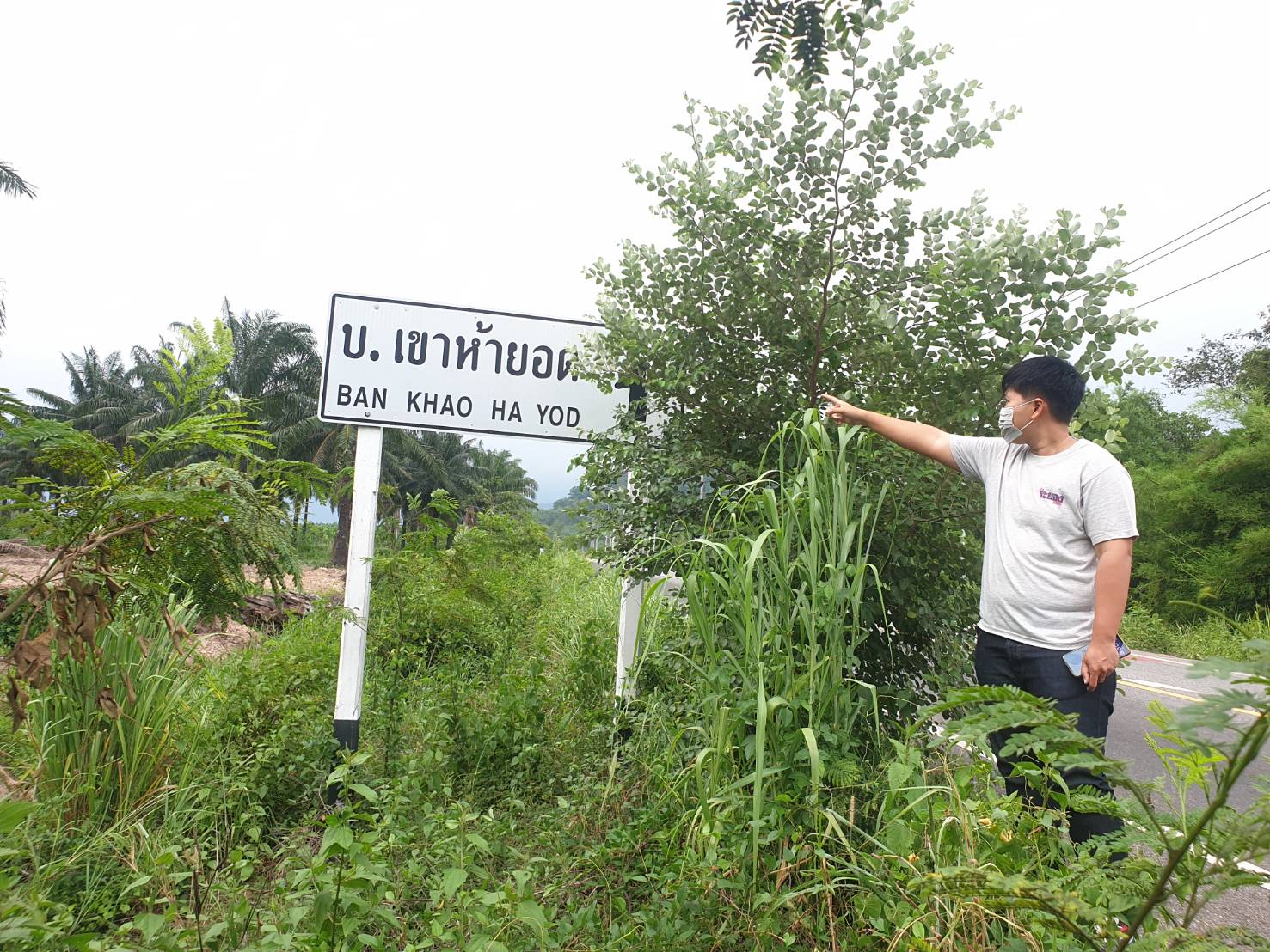  นายทุนรุกตัดไม้เขตป่าสงวนในอำเภอเขาชะเมา  
