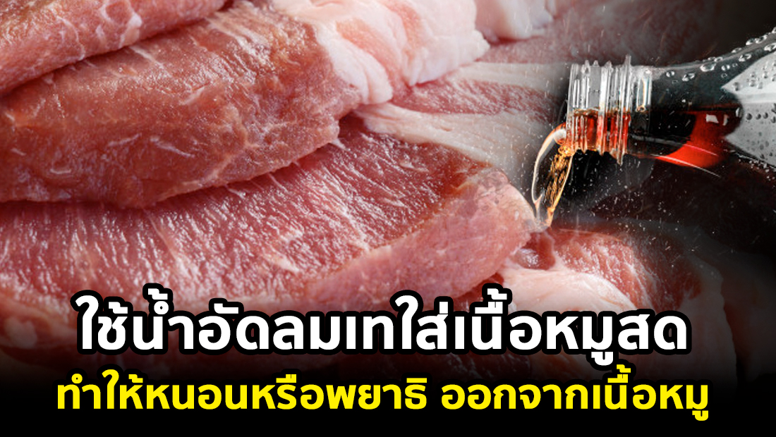 ปลอมมาก! 'ปศุสัตว์' ตรวจสอบวิดีโอเทน้ำอัดลมลงเนื้อหมูไล่หนอน-พยาธิแล้ว ไม่ได้ผลจริง
