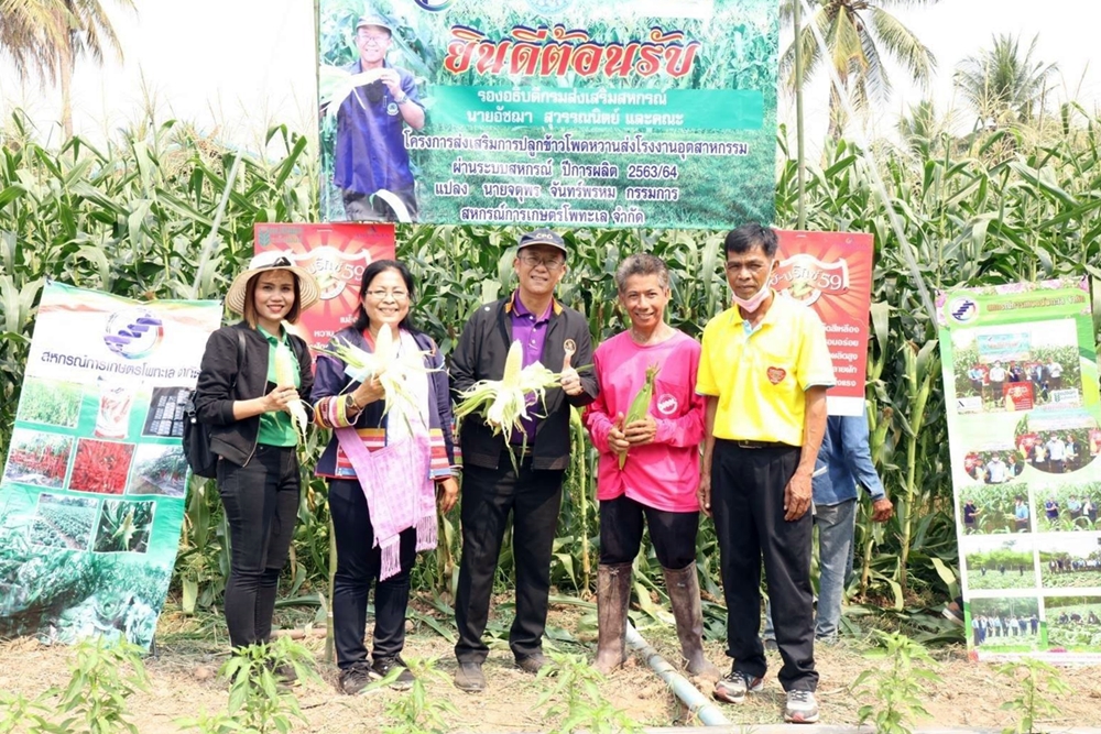 รองอธิบดี กสส. ลุยพื้นที่พิจิตร หนุนสมาชิกสหกรณ์ทำเกษตรระยะสั้น ปลูกพืชหมุนเวียน สร้างรายได้หลังทำนา