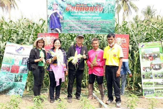 รองอธิบดี กสส. ลุยพื้นที่พิจิตร หนุนสมาชิกสหกรณ์ทำเกษตรระยะสั้น ปลูกพืชหมุนเวียน สร้างรายได้หลังทำนา