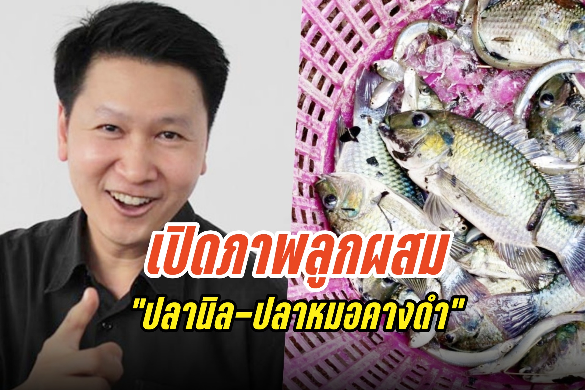ชัดๆ!  "อ.เจษฎา" เปิดภาพลูกผสม "ปลานิล-ปลาหมอคางดำ" 