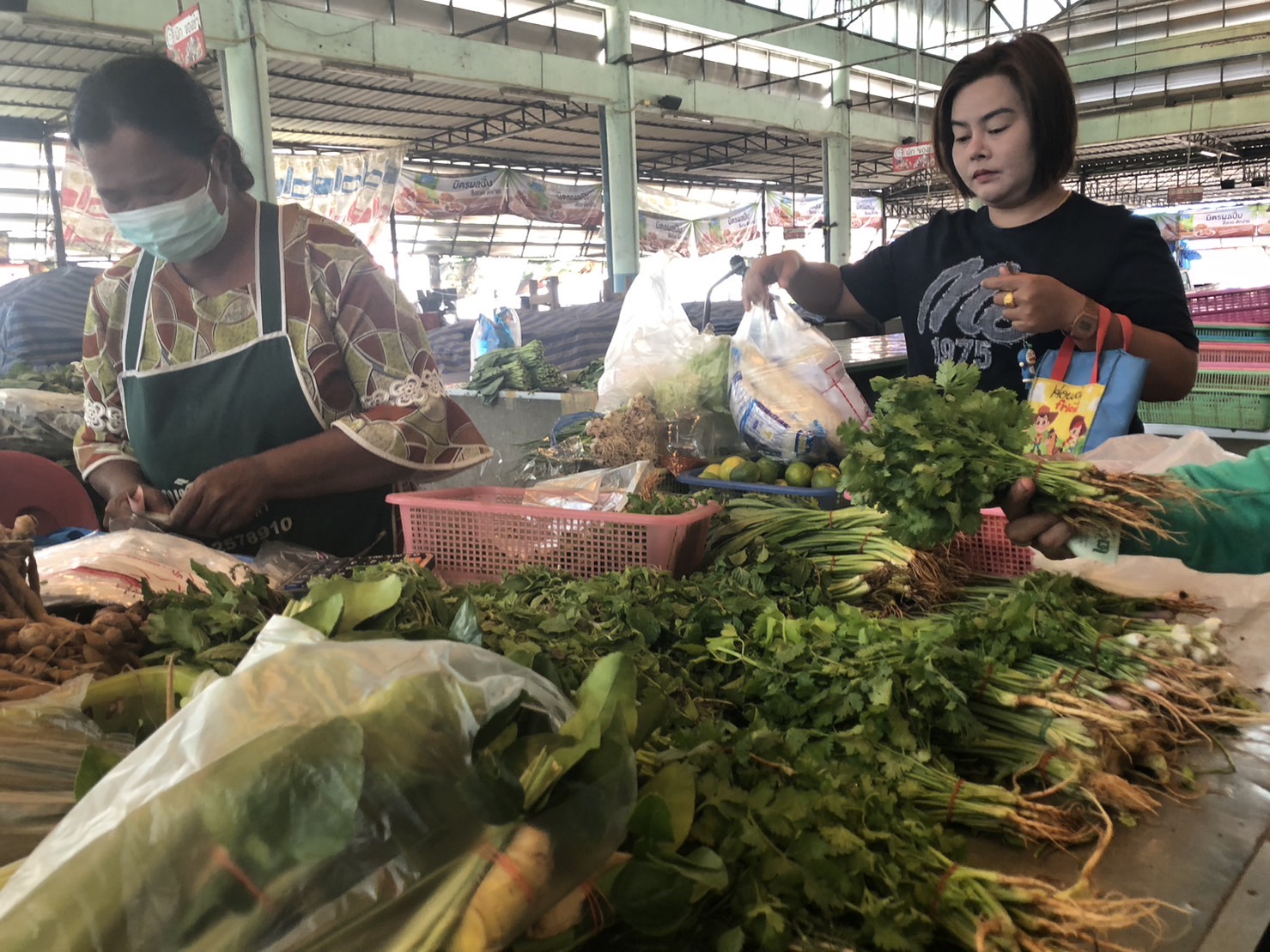 ชัยภูมิ พืชผักแพงเท่าตัว บางอย่างขาดแคลนหลังน้ำท่วม