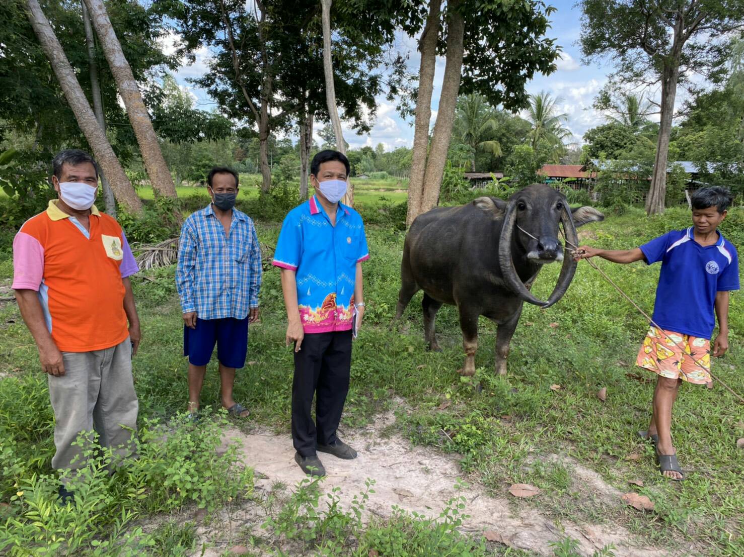  ปศุสัตว์ยโสธรลงพื้นที่ชุมชนคนรักควายเพื่อส่งเสริมการอนุรักษ์ควายไทย