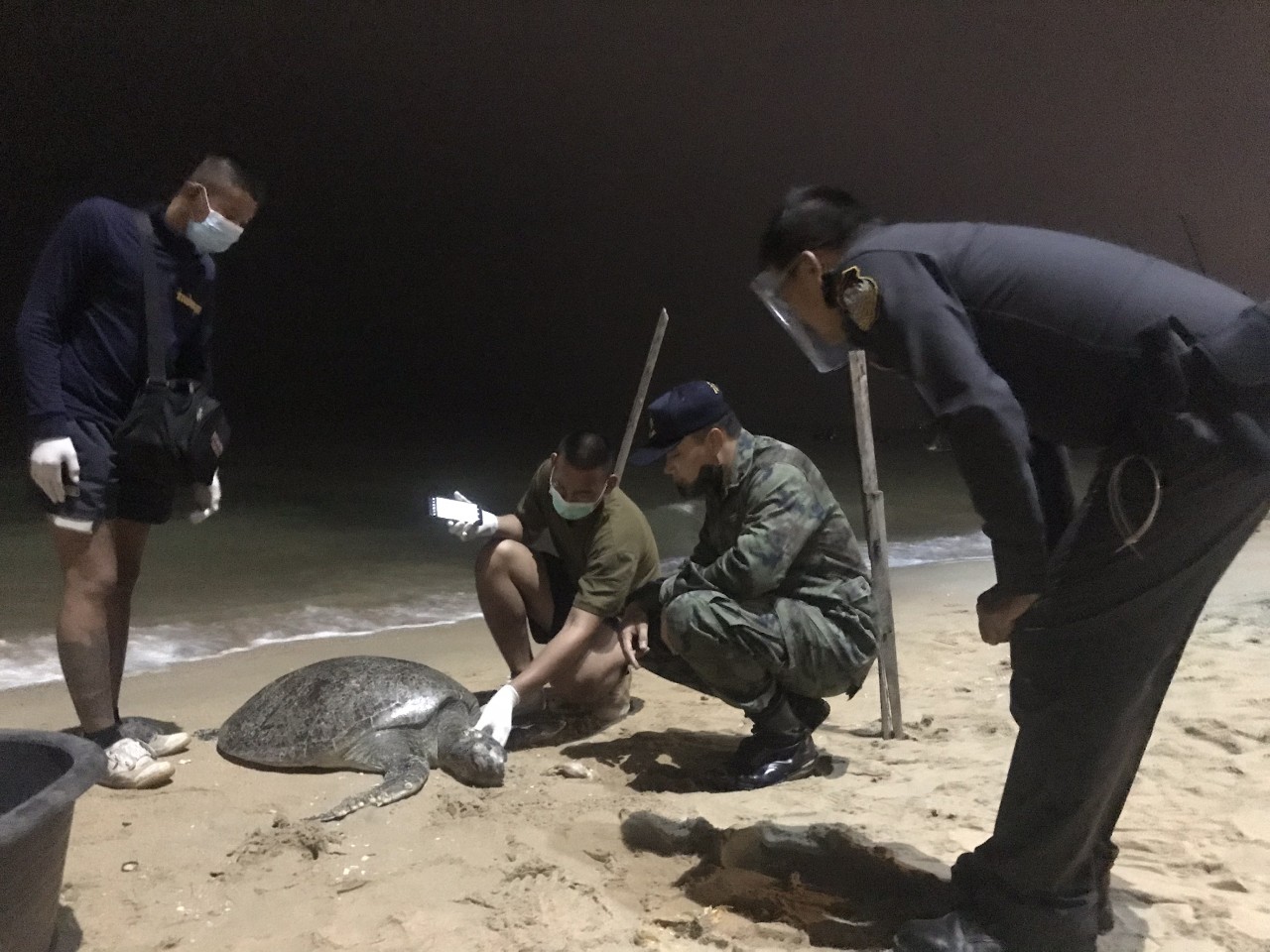 พบเต่าตนุเกยตื้นตายชายหาดจอมเทียน ชาวบ้านแห่ถ่ายรูปขอเลขเด็ด       
