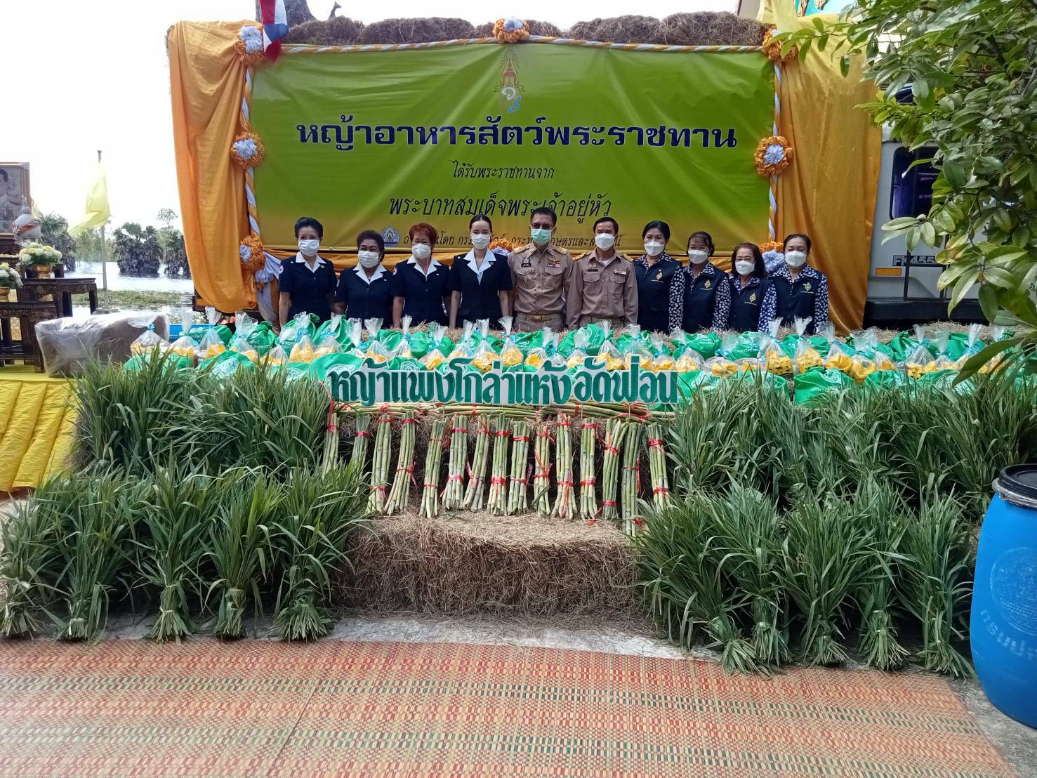 ผู้ว่าฯร้อยเอ็ดมอบหญ้าอาหารสัตว์พระราชทานช่วยเหลือเกษตรกร​  หลังแม่น้ำมูลเอ่อท่วมพื้นที่ทำการเกษตรและเลี้ยงสัตว์จนรับความเดือดร้อน