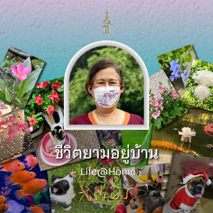 ร่วมชื่นชมภาพถ่ายฝีพระหัตถ์ “ชีวิตยามอยู่บ้าน: Life@Home” 