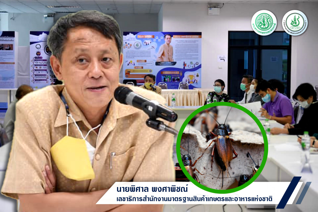 มกอช. ถกผู้ประกอบการแปรรูป-ส่งออกจิ้งหรีด ลุยเปิดตลาดเม็กซิโก-สหภาพยุโรป