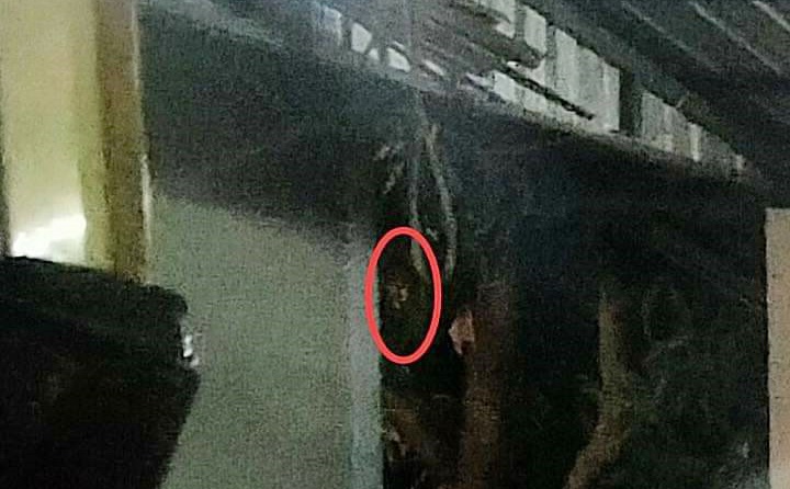 อุดรผวา! ภาพ "ผีปอบ" ว่อนโซเชียล คร่าชีวิตชาวบ้านแล้ว 5 ศพ