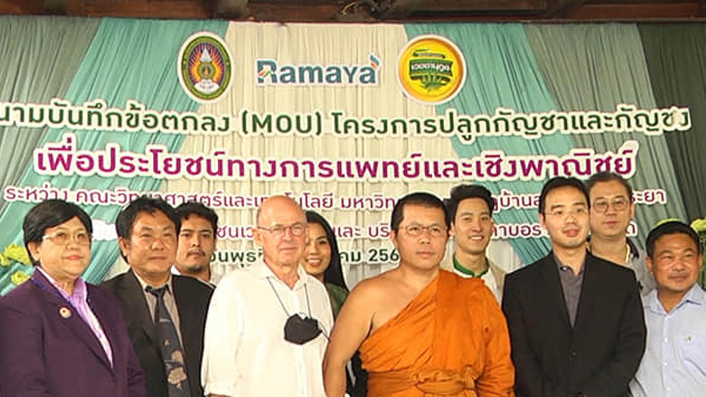 "วัดท่าไม้ อ.กระทุ่มแบน" นำร่องเปิดศูนย์ปลูก-วิจัย "กัญชงกัญชา" เชิงพาณิชย์ทางการแพทย์ 